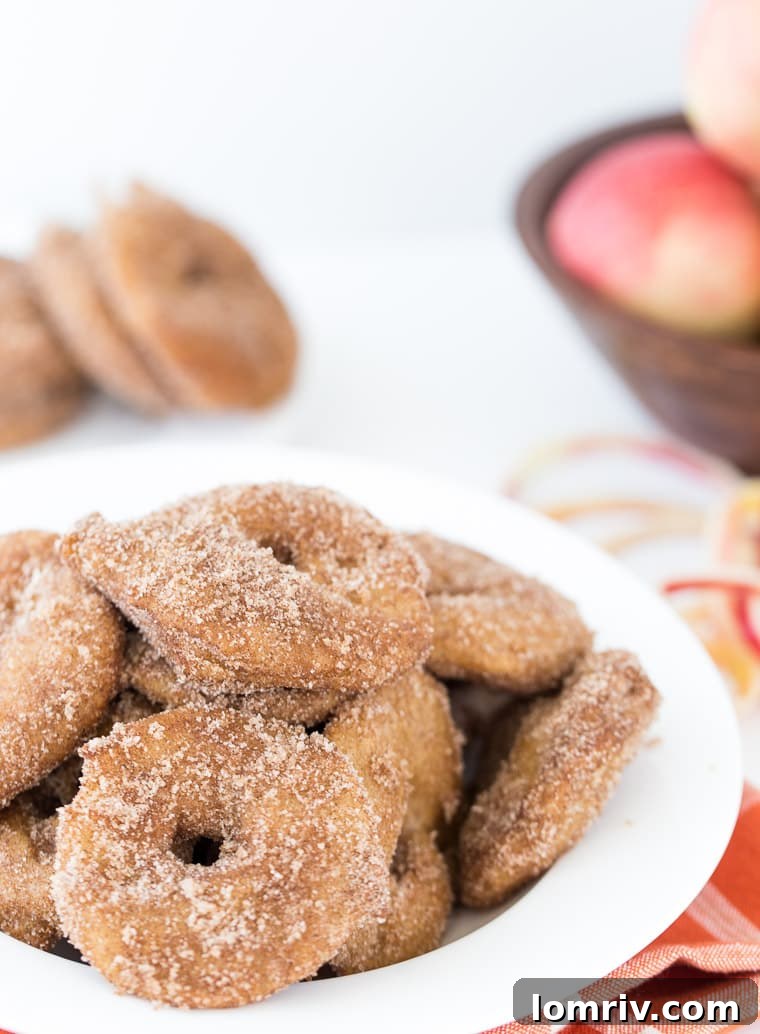 A plate of homemade apple fritters, crisp on the outside and sweet, gooey on the inside, ready to be enjoyed.