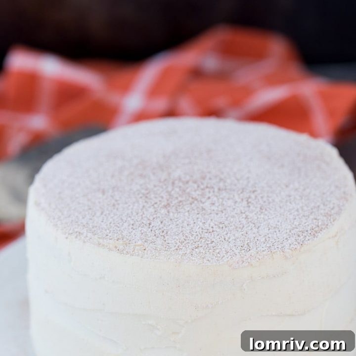 Apple Cider Cake with Malted Vanilla Frosting, a comforting fall dessert recipe.