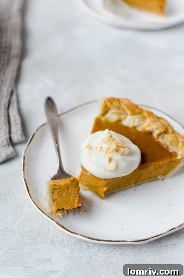 Slice of creamy Pumpkin Coconut Pie revealing its rich texture.