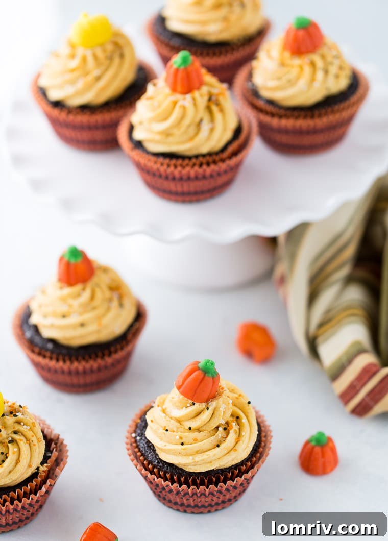 A tray of freshly baked chocolate pumpkin cupcakes with a rich, creamy frosting.