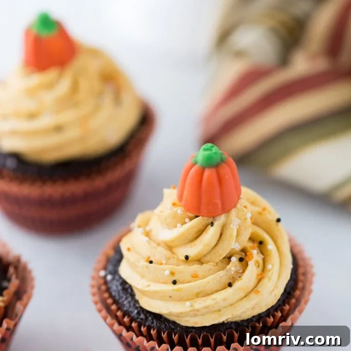 Delicious chocolate pumpkin cupcakes with a creamy pumpkin pie frosting.