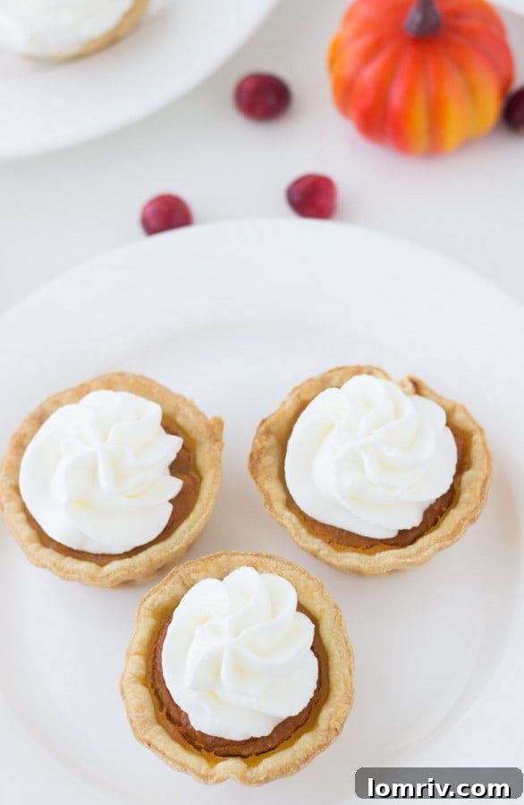 Mini Pumpkin Pie Tarts