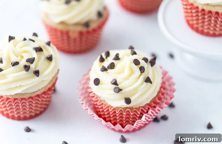 Cannoli Cupcakes with creamy mascarpone frosting and chocolate chips