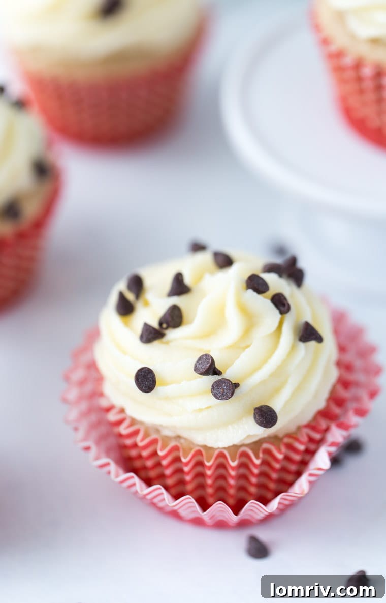 A close-up of a finished cannoli cupcake, showcasing the creamy frosting and chocolate chip garnish.