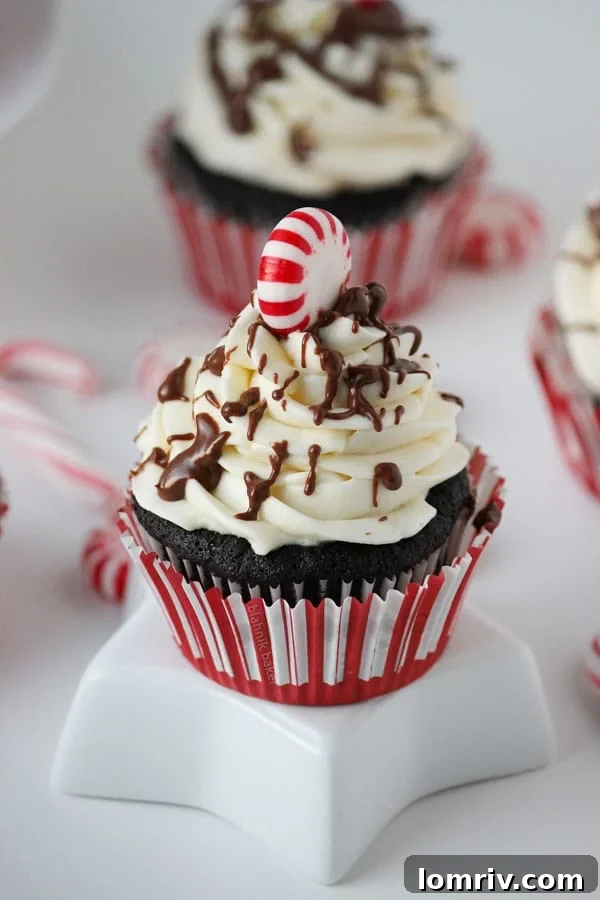 Peppermint Mocha Cupcakes