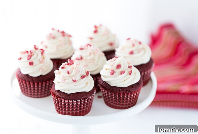 Delicious Ghirardelli Peppermint Red Velvet Cupcakes, frosted and ready to serve.
