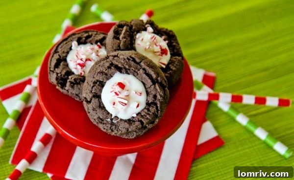 Delicious Chocolate Thumbprint Cookies with a chocolate filling, perfect for holiday gifting