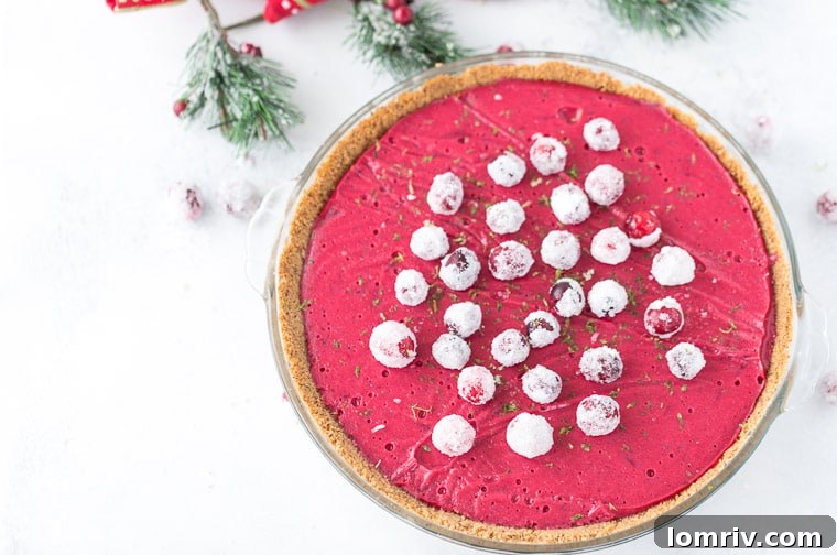 A luscious cranberry curd in a spicy gingerbread crust makes this cranberry lime pie a great holiday dessert.