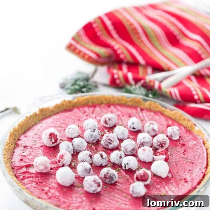 A luscious cranberry curd in a spicy gingerbread crust makes this cranberry lime pie a great holiday dessert.