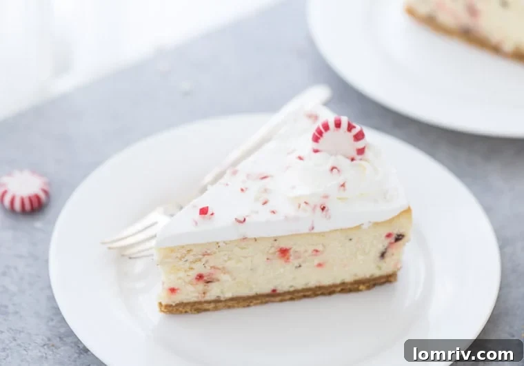 A slice of peppermint white chocolate cheesecake on a plate, showing the creamy filling, crust, and peppermint bark pieces.