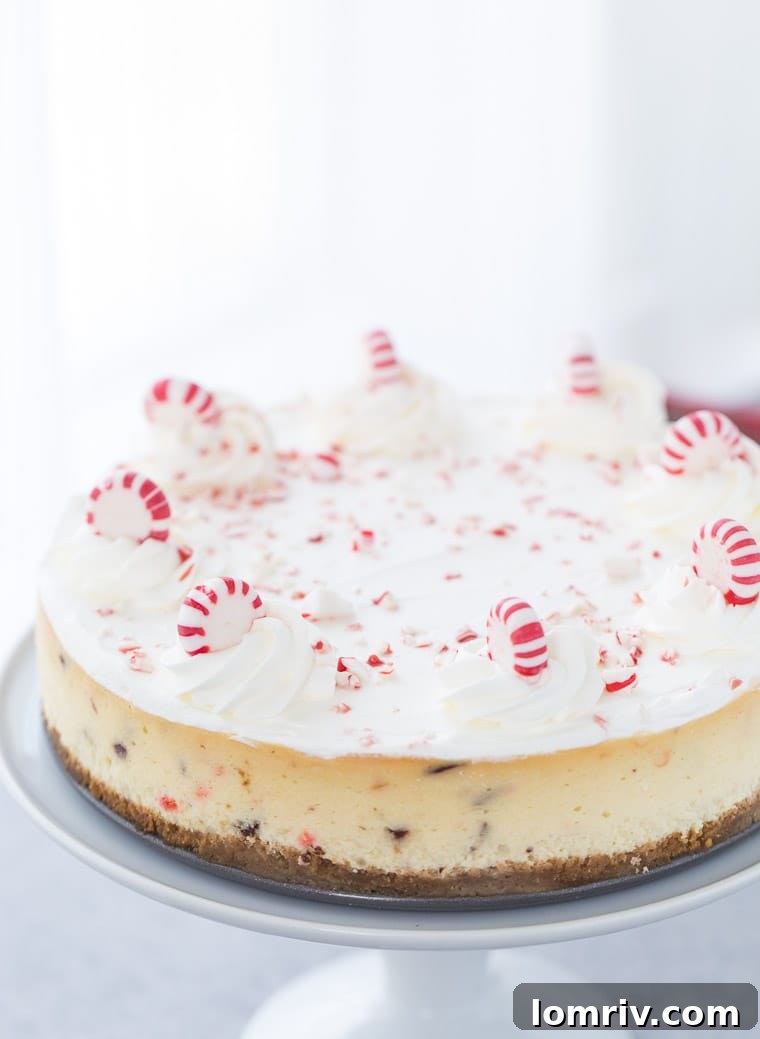 A close-up of a festive peppermint white chocolate cheesecake, ready to be served.