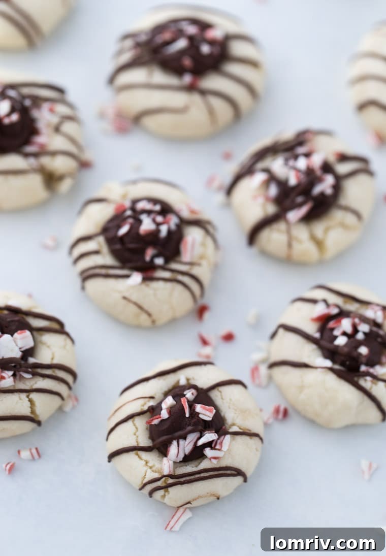 Festive peppermint chocolate Shortbread Thumbprint Cookies with chocolate drizzles are perfect for holiday celebrations.