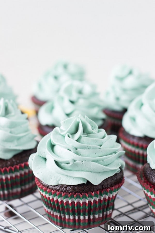 Rich chocolatey cupcakes with mint chocolate morsels!