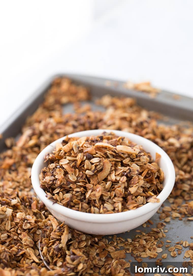 Delicious Homemade Coconut Chocolate Chip Granola for Breakfast and Snacks