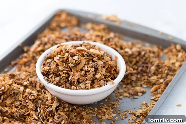 A Close-up of Golden Brown Coconut Chocolate Chip Granola with Chocolate Chunks
