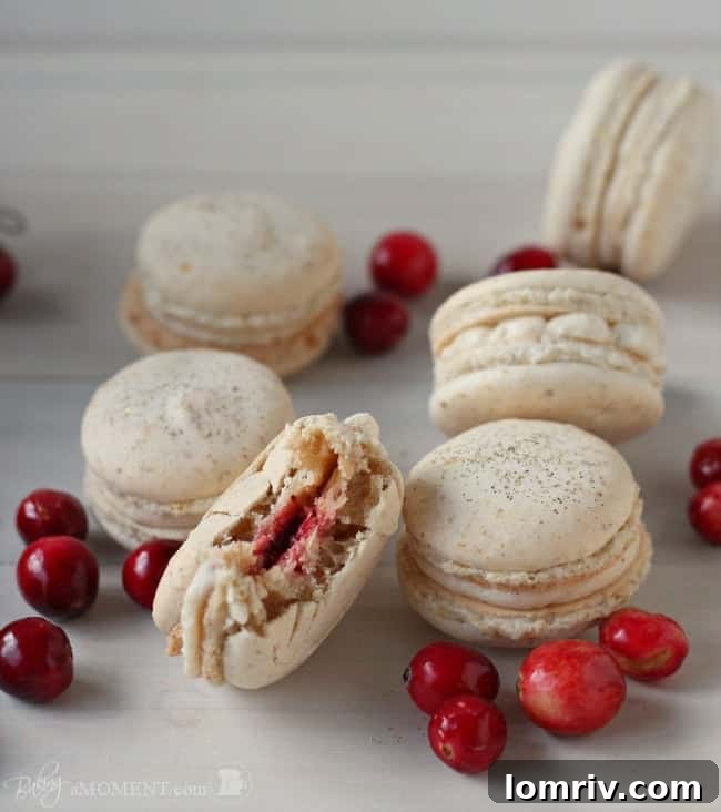 A trio of orange walnut macarons, highlighting the golden disco dust shimmer on the shells and the visible cranberry filling.
