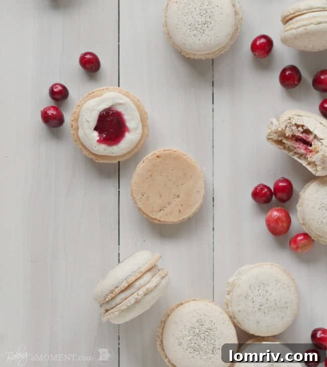 A delicious cross-section of an orange walnut macaron, revealing the creamy spiced cream cheese and the jewel-like cranberry compote within.
