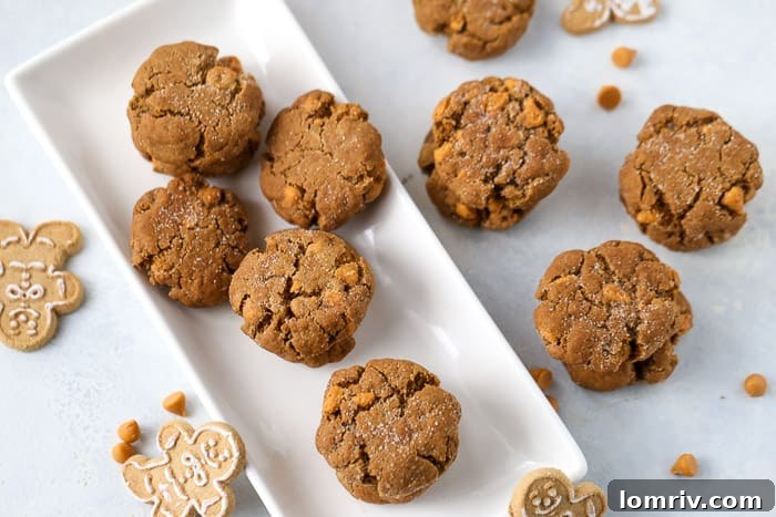 Butterscotch Molasses Cookies