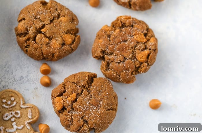 Butterscotch Molasses Cookies