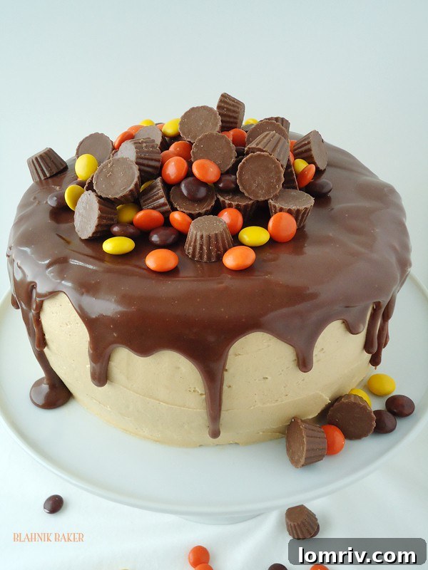 Layered Chocolate Peanut Butter Cake with creamy frosting and chocolate shavings