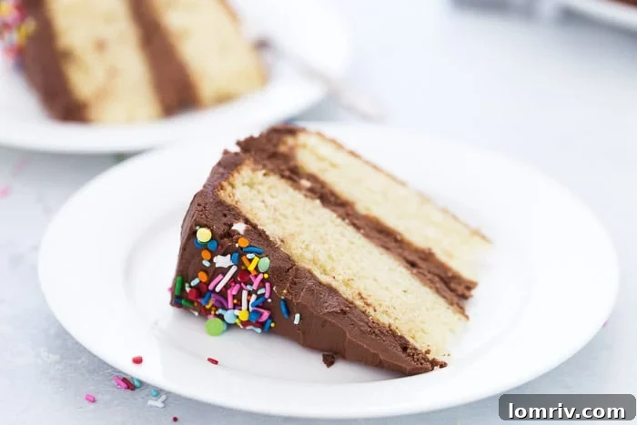 A beautifully frosted classic yellow cake with chocolate buttercream, ready for slicing.