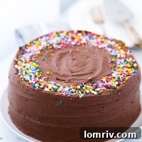 Classic Yellow Cake with Chocolate Frosting