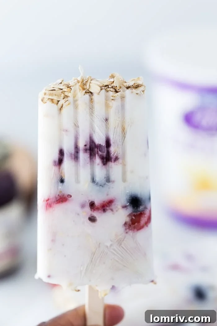 Delicious and healthy Berry Greek Yogurt Breakfast Pops, made with oats and fresh berries, perfect for a quick and nutritious start to your day or an anytime snack.