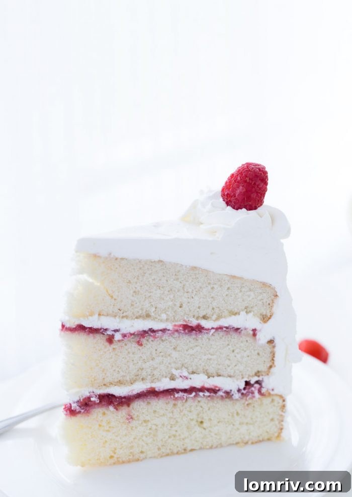 Coconut Raspberry Cake with Whipped Cream Frosting – A classic coconut cake with a tart raspberry twist, perfect for dessert.