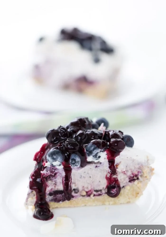 Blueberry Coconut Ice Cream Pie – A refreshing no-bake pie combining fresh blueberries and tropical coconut flavors.
