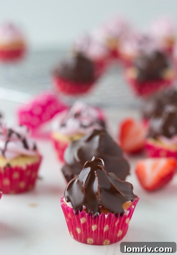 Mini Chocolate Covered Strawberry Cupcakes