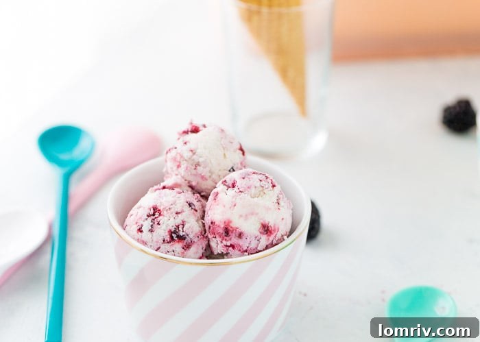 A close-up of fresh, juicy blackberries, lime, and other ingredients for homemade ice cream.