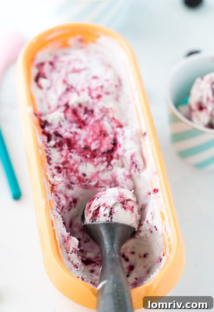 A scoop of homemade blackberry coconut ice cream, showcasing the beautiful purple swirls and creamy texture.