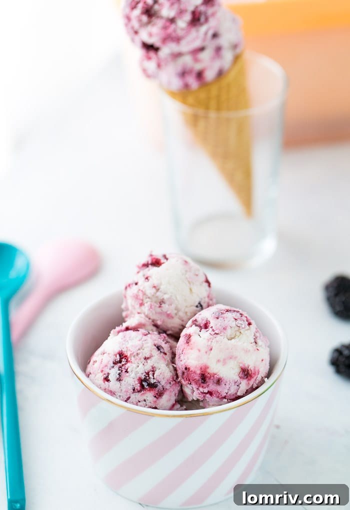 A close-up of the finished blackberry coconut ice cream, showcasing its irresistible texture and vibrant fruit swirls in a serving dish.