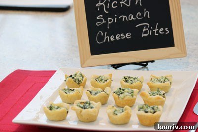 Kickin Spinach Cheese Bites
