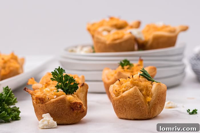 Buffalo Chicken Dip Bites