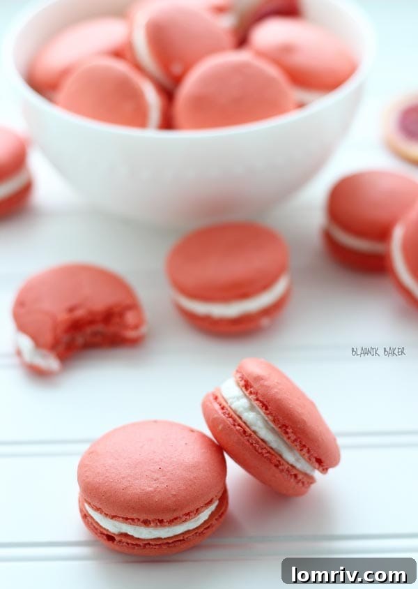 A close-up shot of a single Blood Orange Walnut Macaron, showcasing the filling and intricate shell texture.