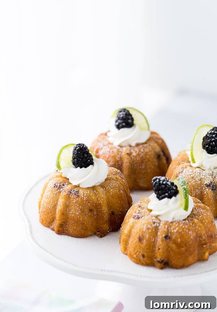 Tender Blackberry Lime Mojito Cakes filled with fresh blackberries and rum, crowned with light whipped cream.