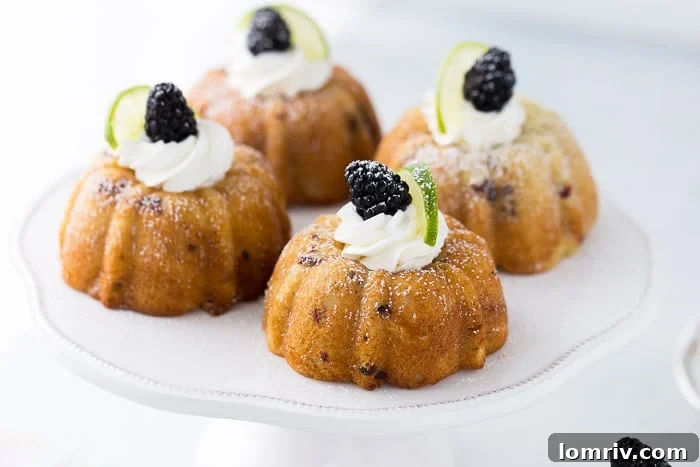 A close-up shot of Blackberry Lime Mojito Cakes arranged artfully, highlighting their delightful texture and fresh toppings.