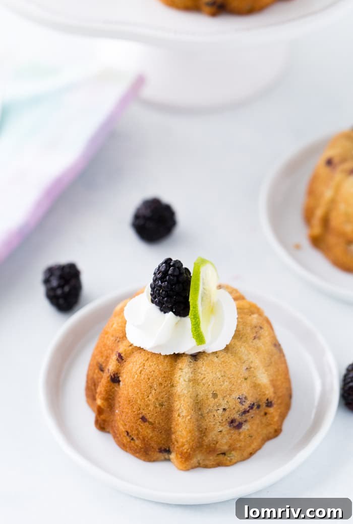 Delicious Blackberry Lime Mojito Cakes, beautifully garnished with fresh berries and whipped cream.