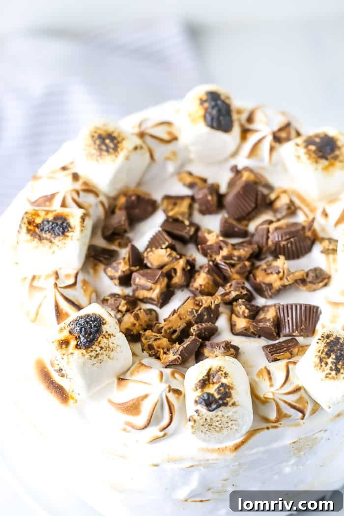 Decadent Elvis S'mores Cake with perfectly toasted marshmallow peaks and visible layers of peanut butter ganache