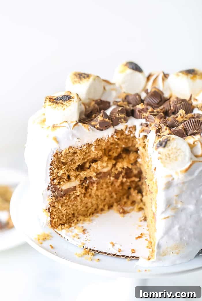 The finished Elvis S'mores Cake adorned with beautifully toasted marshmallow dollops, ready to be served