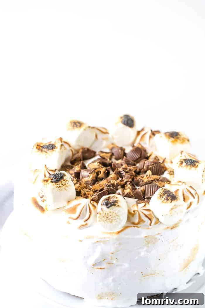 A final beautifully composed shot of the Elvis S'mores Cake, highlighting its height and delectable layers