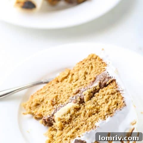 Elvis S'mores Cake recipe card image