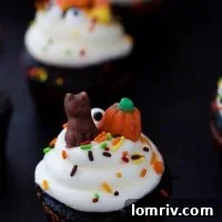 Chocolate Halloween Cupcakes - a perfect festive treat recipe
