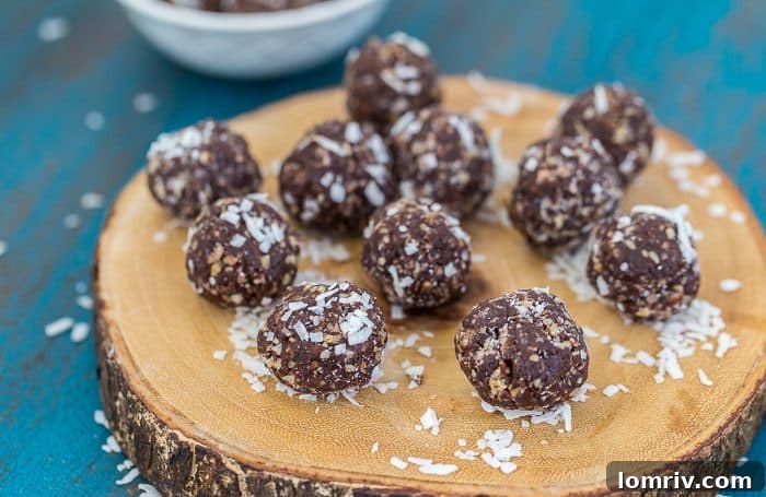 A selection of the five core ingredients used for the energy bites, neatly arranged on a rustic surface, emphasizing their natural and wholesome quality for simple, healthy preparation.