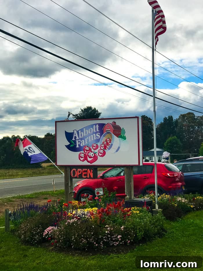 Families enjoying apple picking at a Syracuse orchard, a classic fall activity