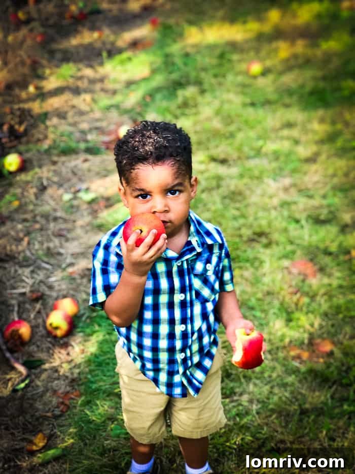 A basket full of freshly picked apples, showcasing the bounty of Syracuse's orchards