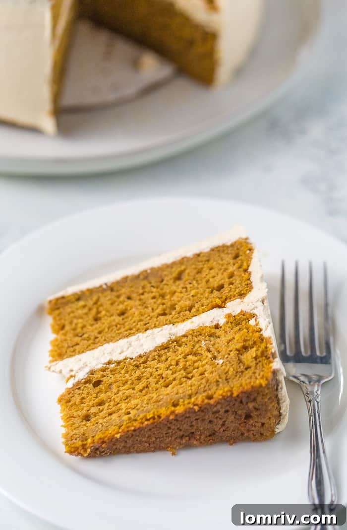 Overhead shot of the full spiced pumpkin cake, ready to be sliced and served.