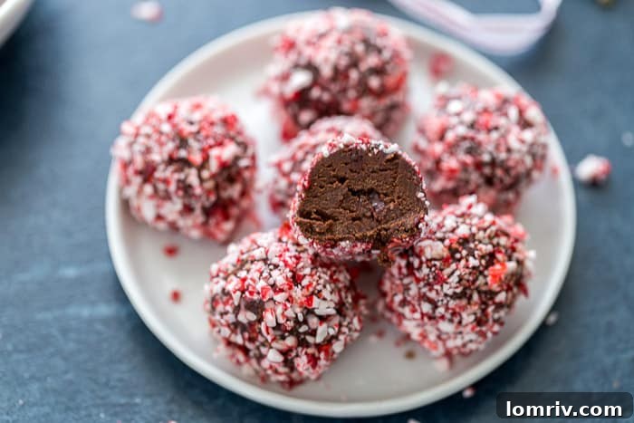 Close-up of a handmade peppermint truffle, showcasing its smooth chocolate texture and festive topping.