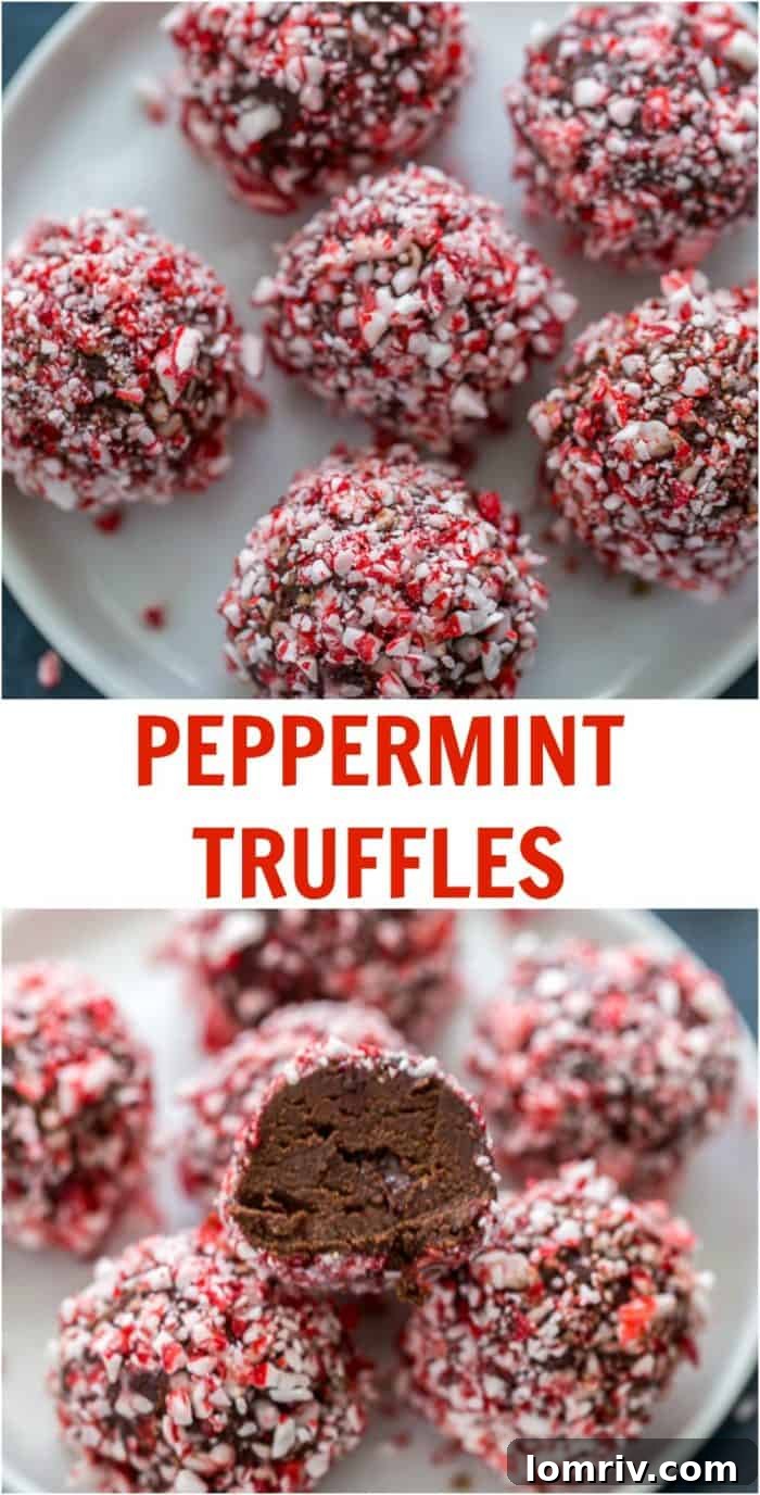 Assortment of finished peppermint truffles, coated in crushed candy canes and cocoa powder, ready for serving.